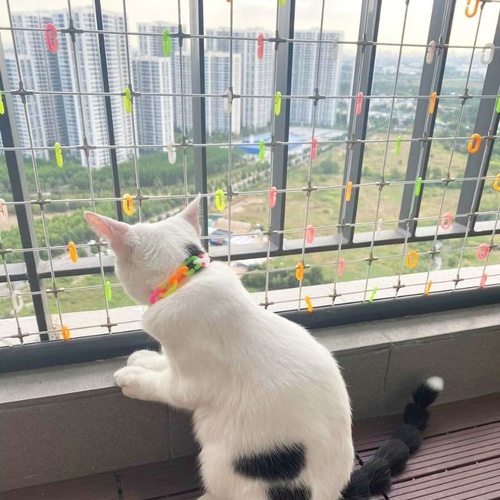 LƯỚI AN TOÀN CHO THÚ CƯNG