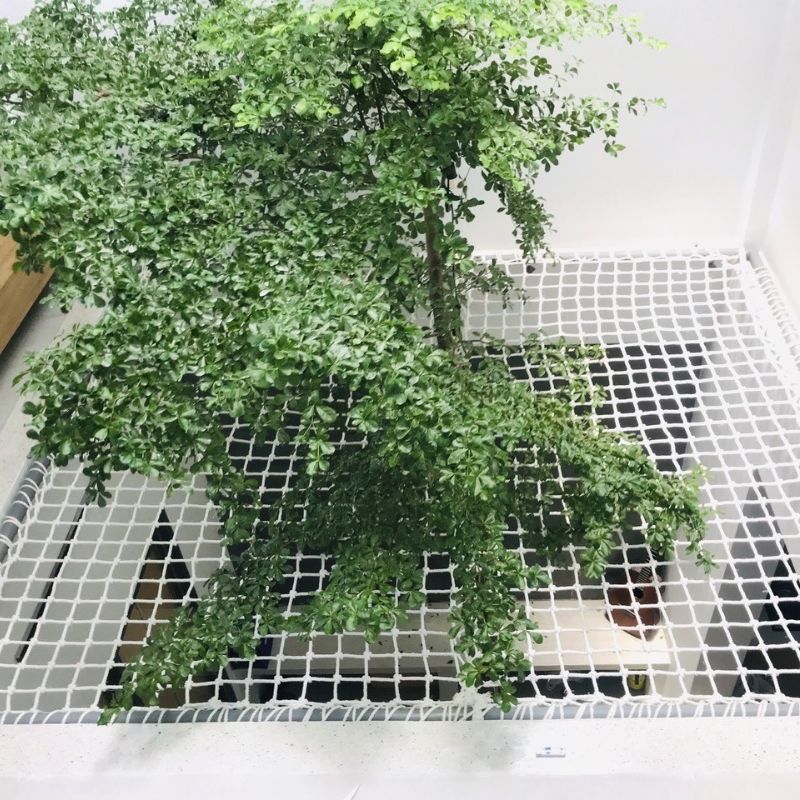 Sợi lưới bằng dù