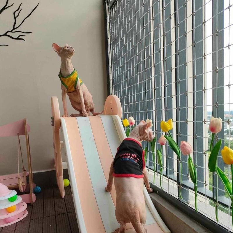 Bảo vệ thú cưng bằng lưới an toàn