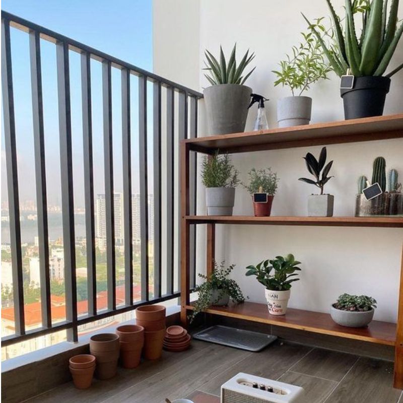 Ý tưởng thiết kế ban công bằng cây xanh