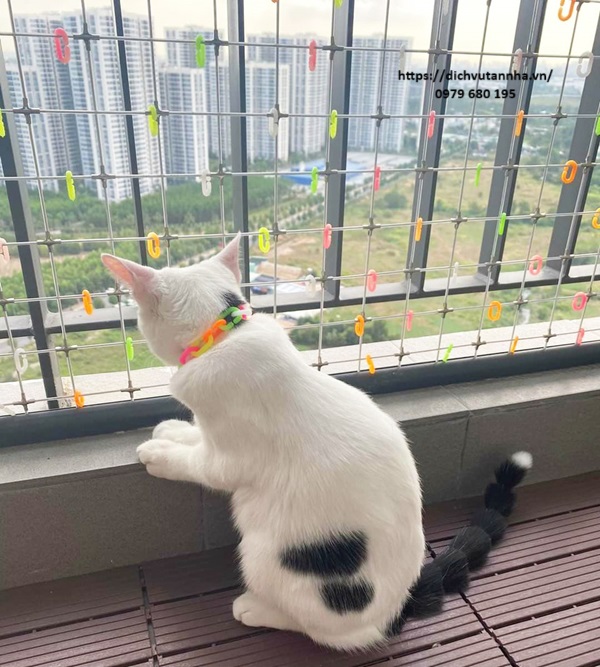 Kẹp chì lưới an toàn ban công