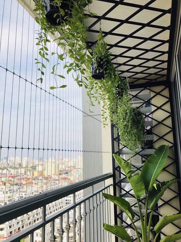 Lưới an toàn ban công